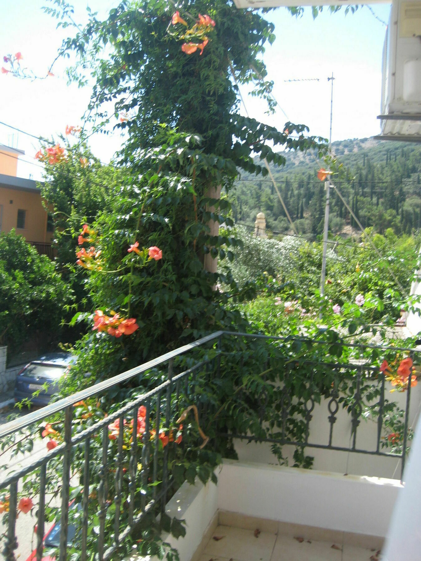 Giannos Apartments Agia Efimia Exterior foto